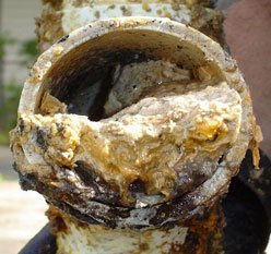 What is a Grease Trap? - Coastal Drains